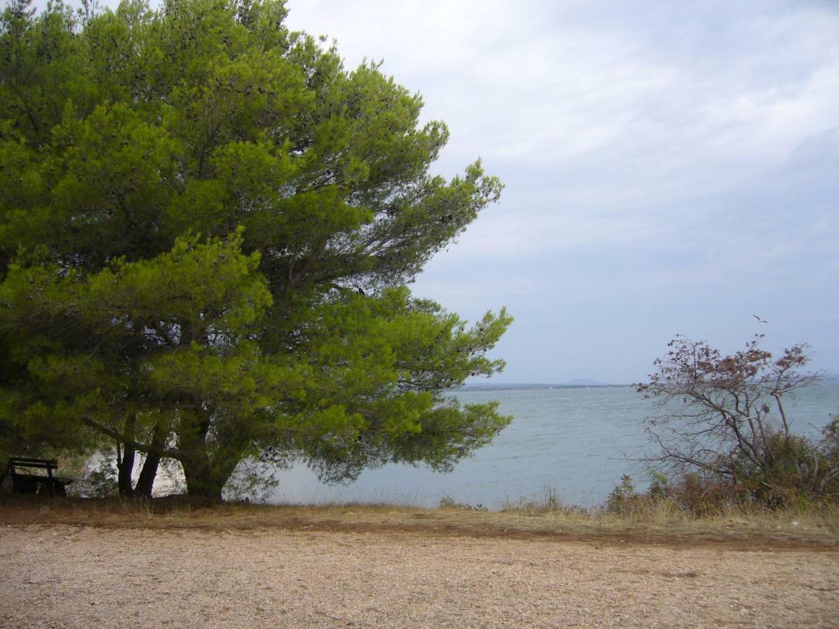 Apartment Branko Drage Εξωτερικό φωτογραφία